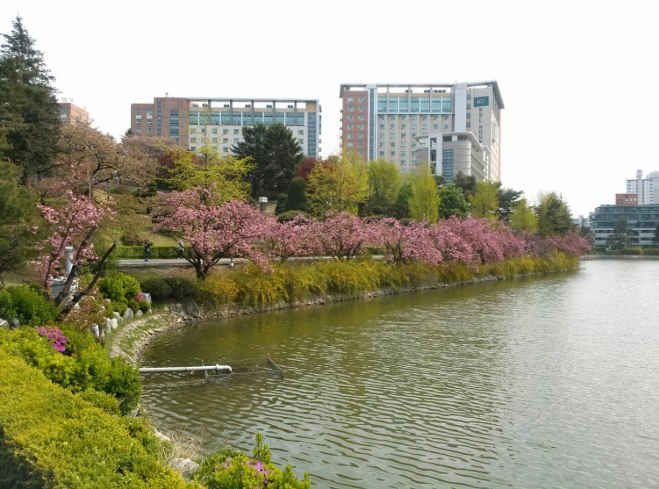 Universiti Konkuk